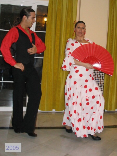 3flamenco2005jpg