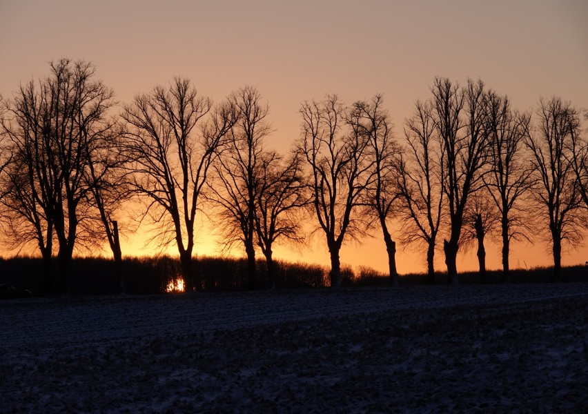 jim vallo alle solnedgang