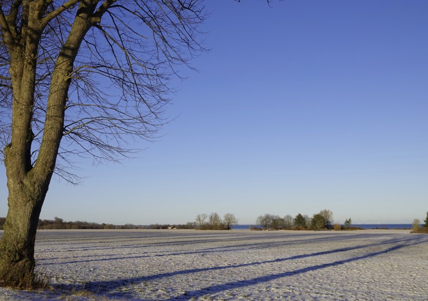 jim vallo udsigt oresund